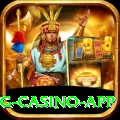 Bingo Patti King Casino App